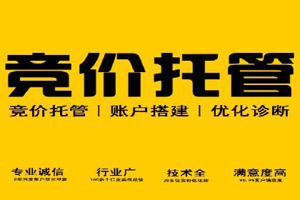 案例解析：专业SEM托管服务助力企业品牌塑造